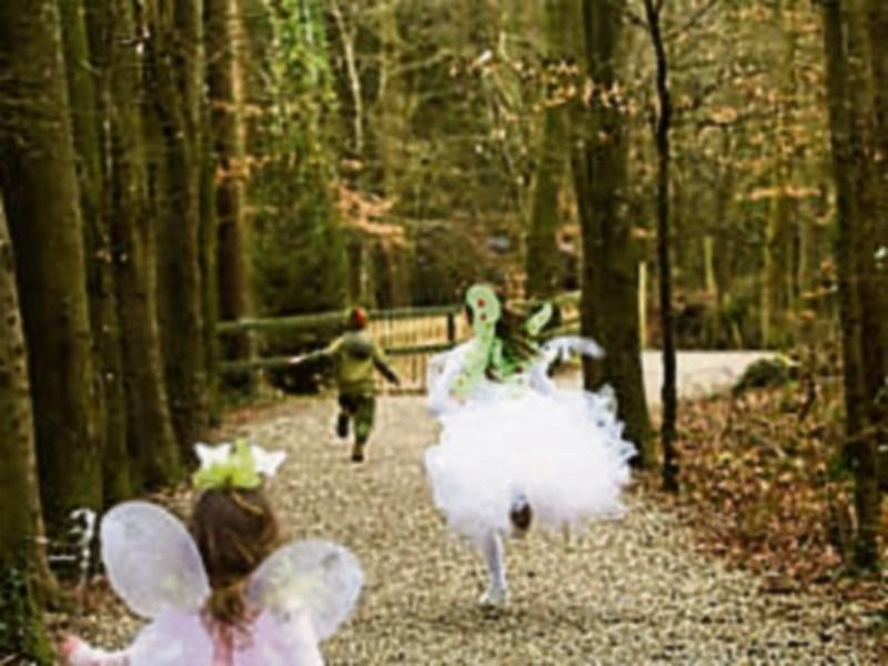 Kildare town's Sensational Kids turns 10 years old