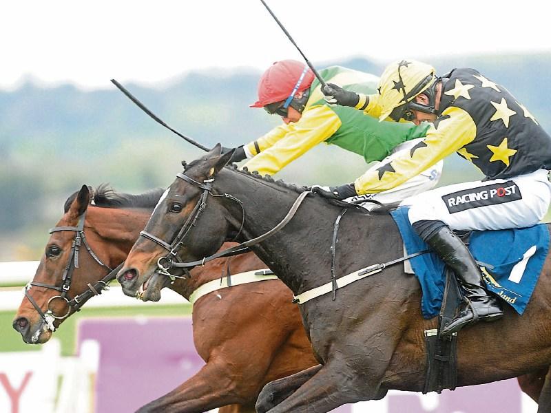 Profile Systems to celebrate 40 years in business at the Punchestown Festival