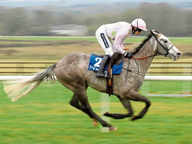 Countdown to Punchestown From bumpers to top jumpers Kildare Live