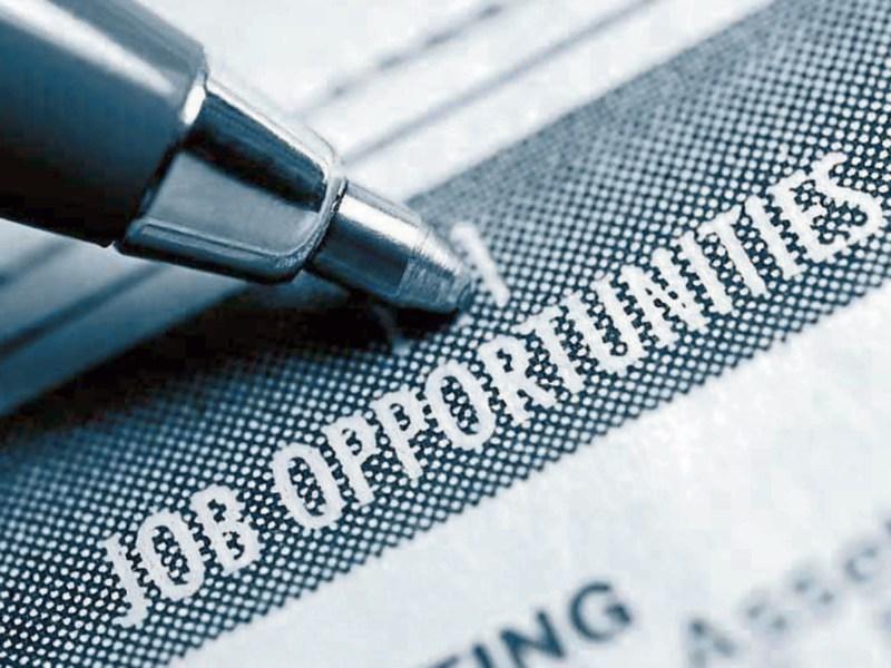 Kildare company is hiring a Junior Graphic Designer