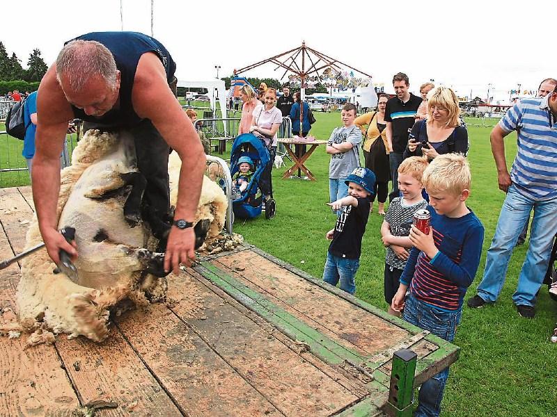 Kildare County show is back in Athy this June