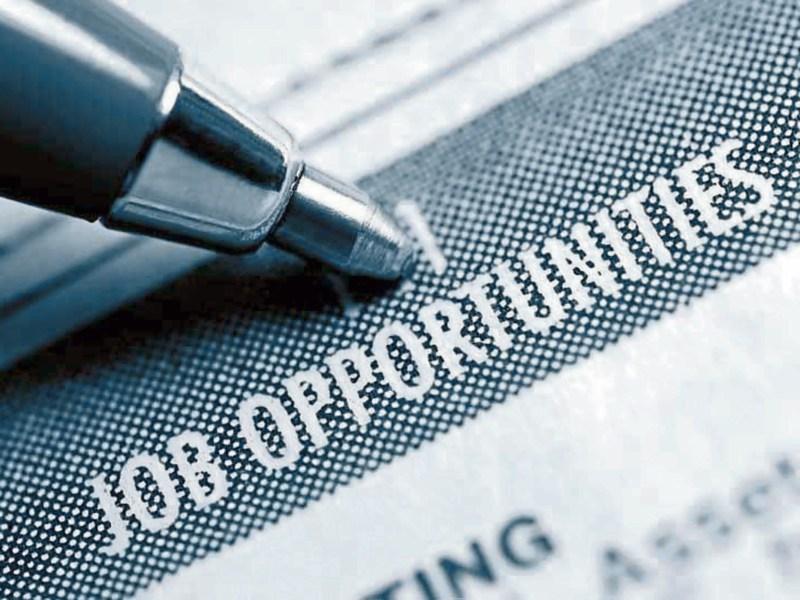 JOBS ALERT: The BuggyMan are expanding