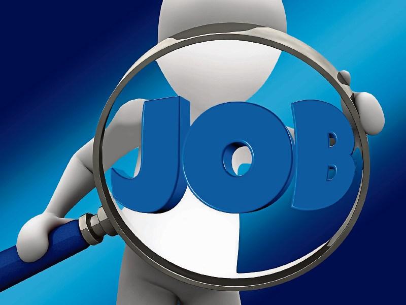 JOBS ALERT: Lily O'Brien is hiring