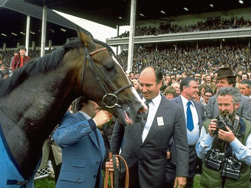 Our debt to the princes of the Kildare turf