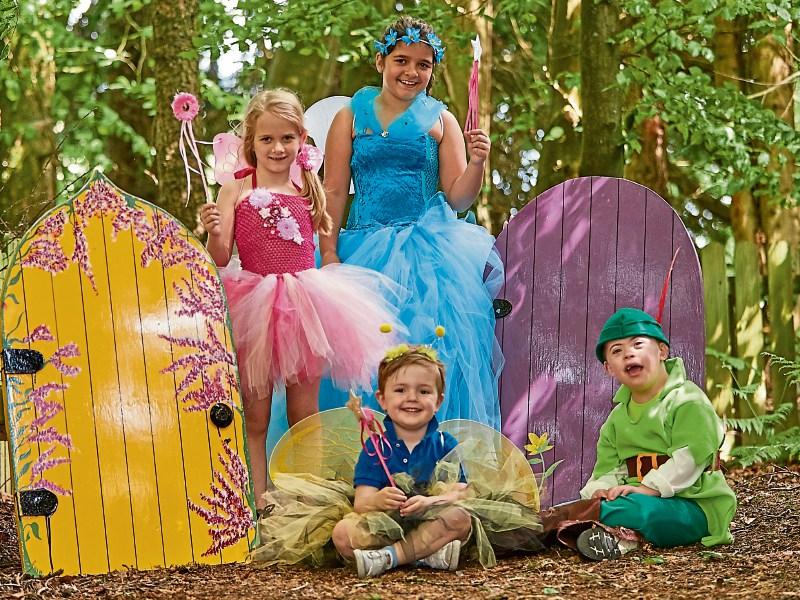 Dust off your fairy wings for Kildare town's Sensational Kids