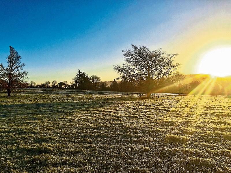 Sunny weather is predicted for Co. Kildare today