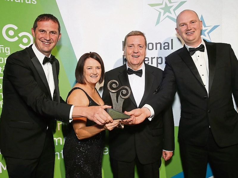 Athy’s Terra Liquid Minerals win National Enterprise Awards