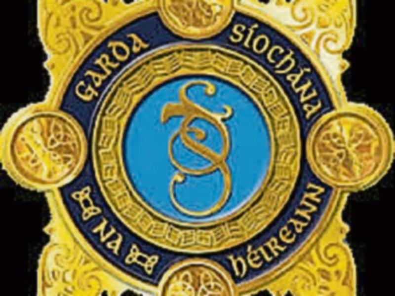 Kildare Division gets nine new Gardai
