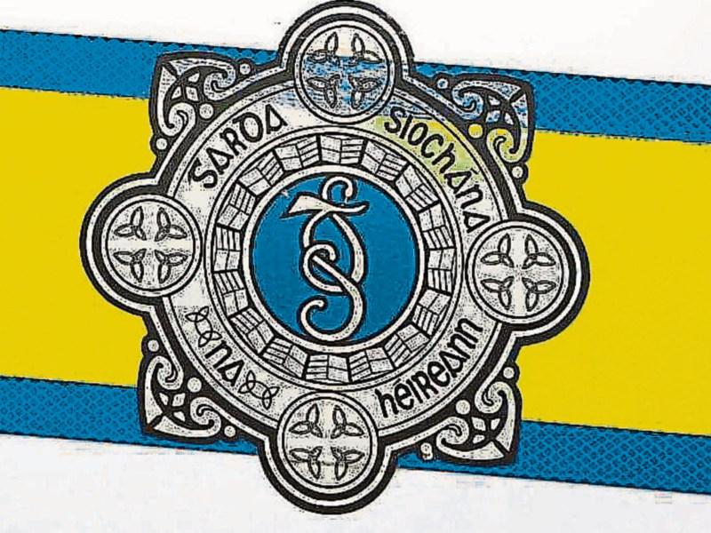 Kildare Garda numbers at highest level in many years