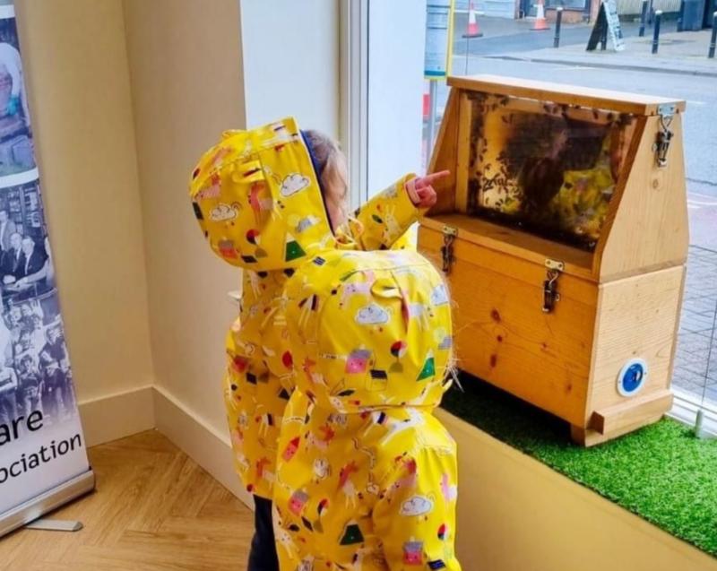 Kildare store gets very special visit from some am-bee-sadors on World Bee Day 2022