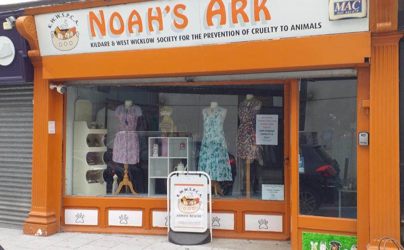 Big Kildare Interview: Animal charity discusses its  most unusual donations