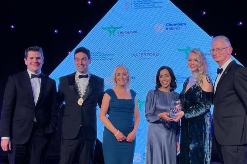 Kildare County Council wins accolade at Excellence in Local Government Awards 