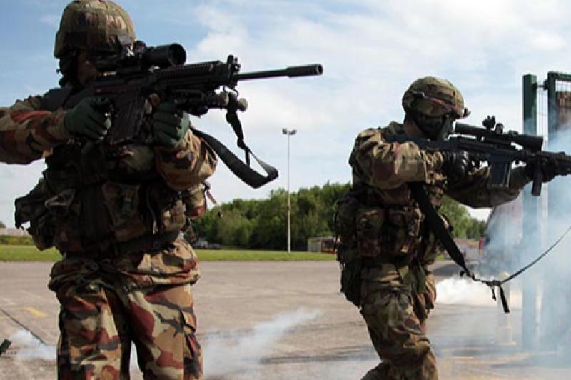 Irish army