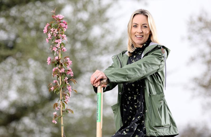 Kildare schoolchildren take part in nationwide drive to plant one million trees 