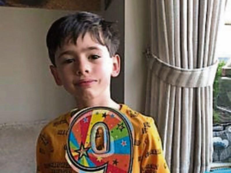 Kildare Animals In Need: Oscar’s birthday surprise for KWWSPCA shelter