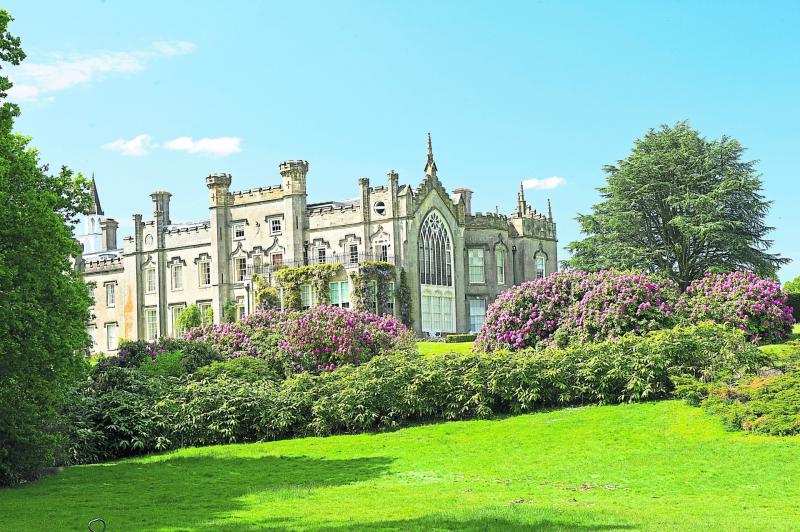 KILDARE GARDENING COLUMN: Tough, pretty and low maintenance rhododendrons