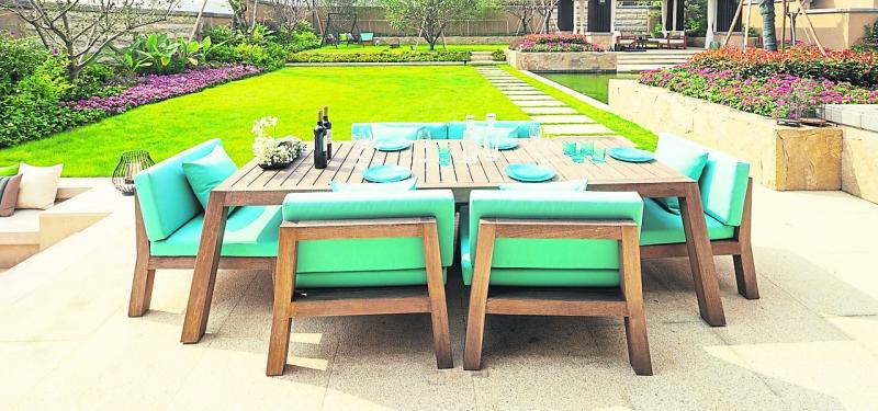 KILDARE GARDENING COLUMN:Hot garden trends for 2023 in the pipeline