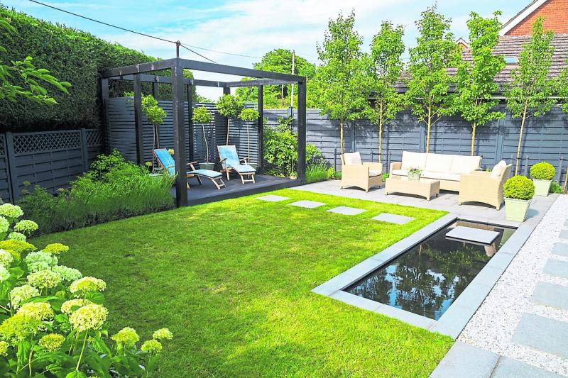 KILDARE GARDENING COLUMN Screening trees can be a super option