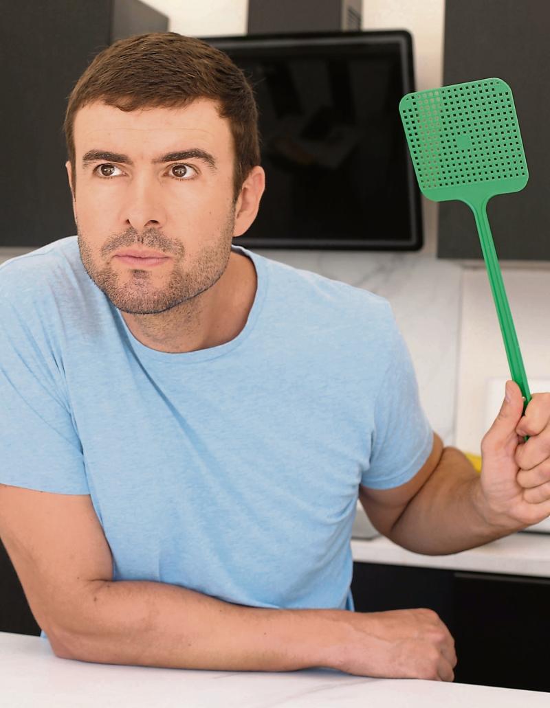 How to keep flying insects out of your home Kildare Live