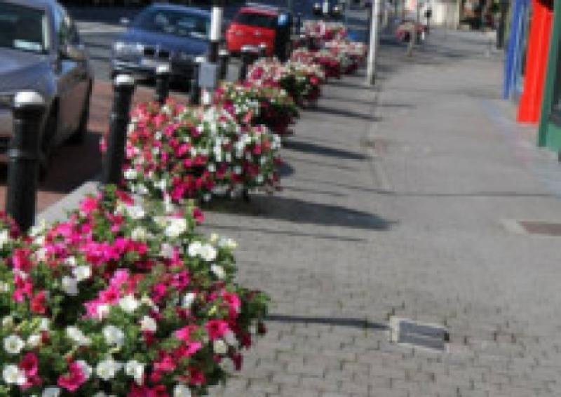 Tidy towns volunteer John Rapple took this photo of Main Street.
