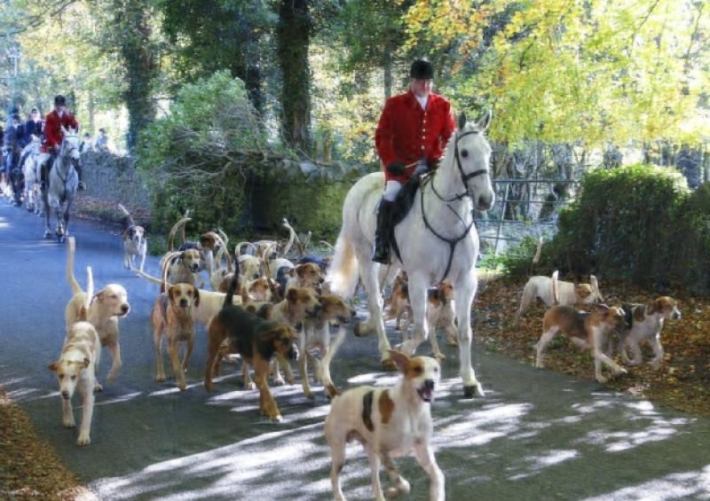 Ageold Kildare Hunt as popular as ever Kildare Live