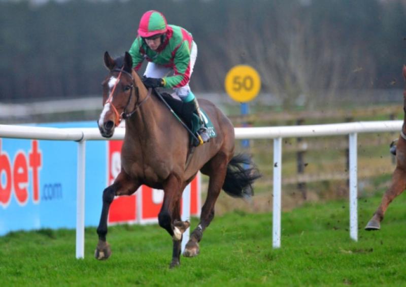 Padraig Roche on Hairy O'Malley wins the Goffs Invitational Sale Pro-Am at Punchestown.