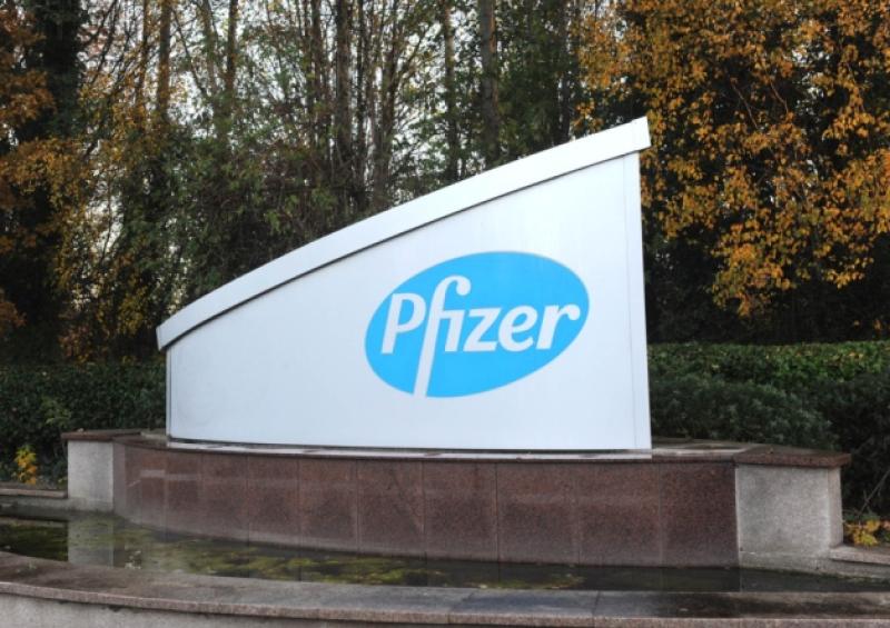 Pfizer Newbridge. 150 Job Losses.  Story Paula Campbell, Photo. Jimmy Jimmy Fullam.