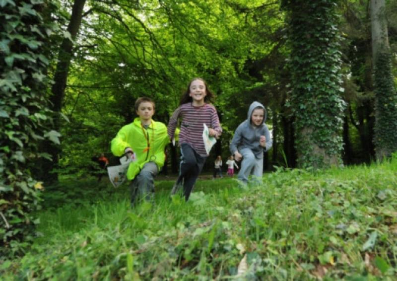 Joseph Butterfield, Hans Van Gelderen and Paul Butterfield at the CNOC orienteering event at Donadea forest park. Picture: Adrian Melia