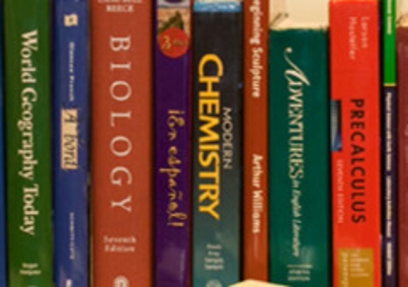 Check out the list of Kildare schools running new therapy services