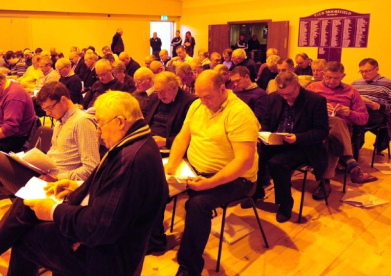 Delegates at the Kildare GAA annual convention at Moorefield.
