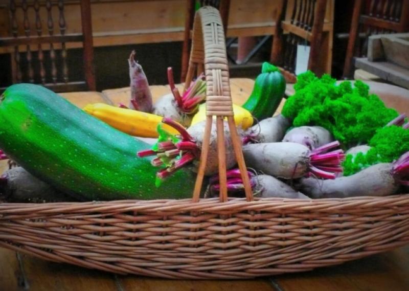 Organic Farming Scheme to reopen to Kildare entrants from November 3
