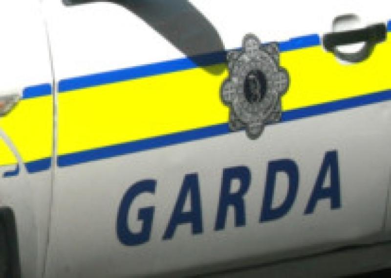 Gardaí issue urgent appeal following serious road traffic collision 