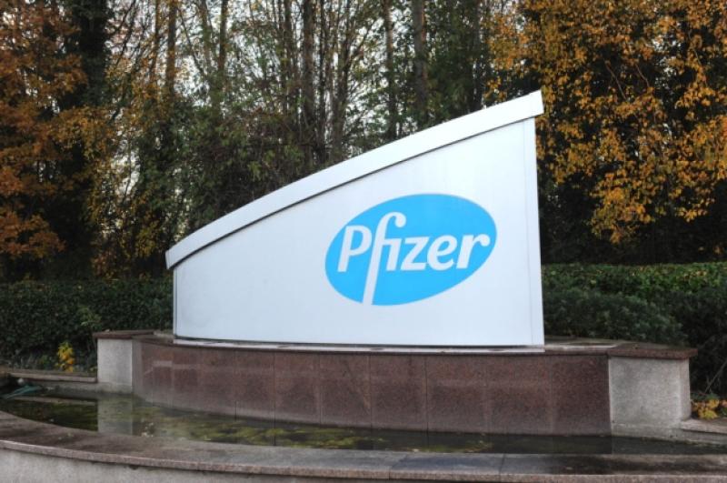 Pfizer Newbridge. 150 Job Losses.  Story Paula Campbell, Photo. Jimmy Jimmy Fullam.