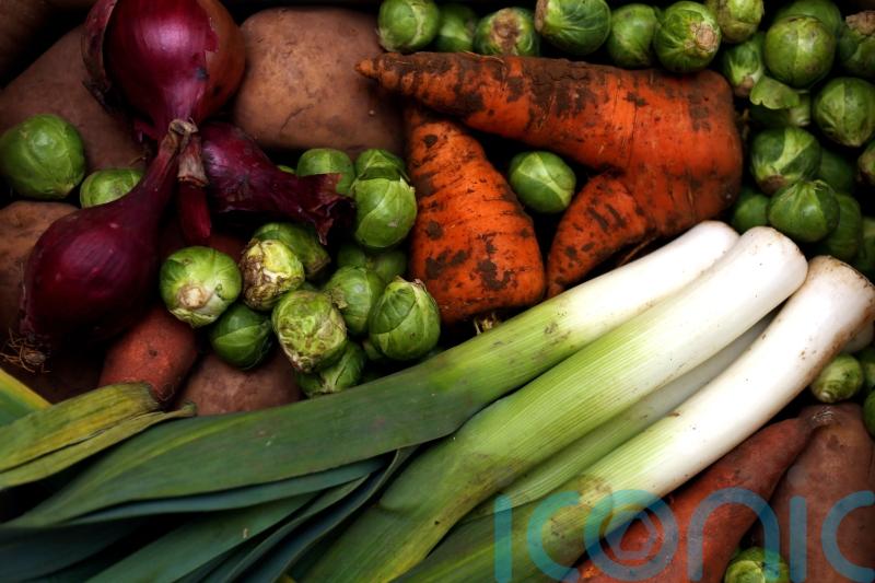 KILDARE: Public vegetable gardens are to open on a trial basis