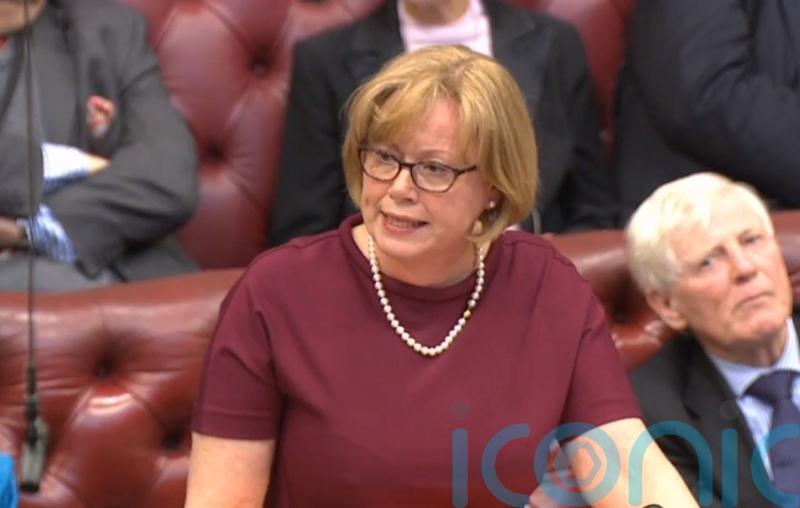 NI Protocol Bill expected to reach House of Lords before autumn, Baroness says