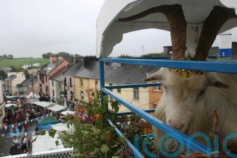 Wild mountain goat removed from cage at fair as temperatures soar