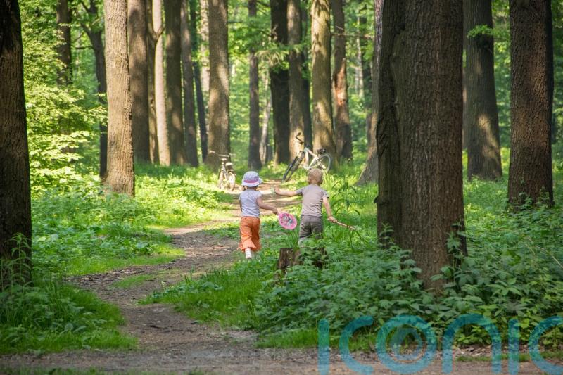 EXPLAINED: How to get children active