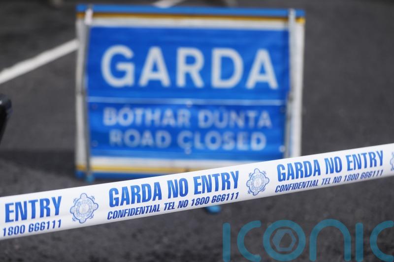 Boy dies after being hit by vehicle in Co Roscommon