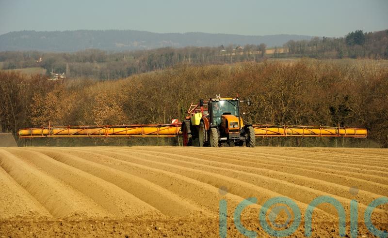 One in four show low-level exposure to weed killer glyphosate – study