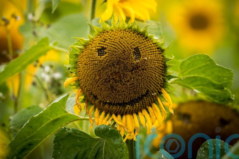 GUIDE: Ways to boost your mental health in 10 minutes