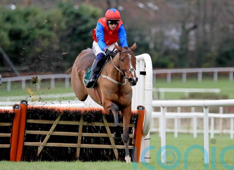 Mullins backing Facile Vega to make amends at Punchestown