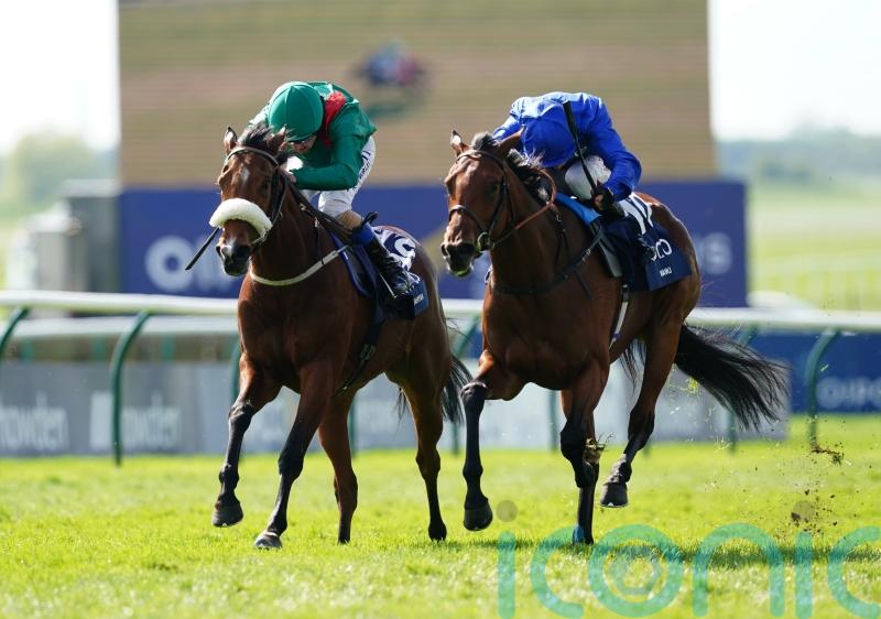 Dermot Weld leaning towards Curragh Classic run for Tahiyra