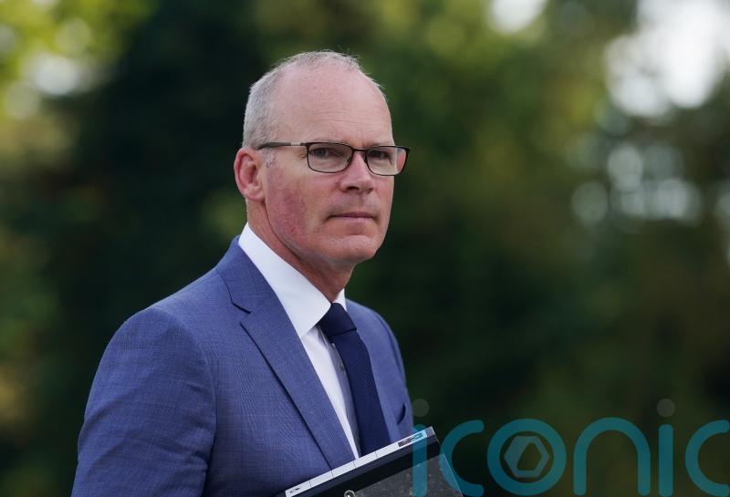 Israeli ambassador’s comments on Irish president not helpful, says minister