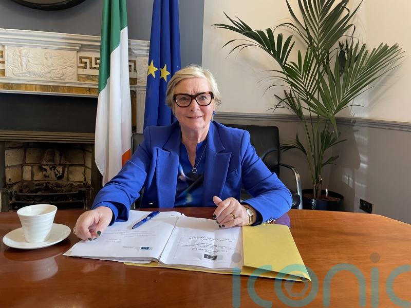 Frances Fitzgerald will not contest European Parliament elections