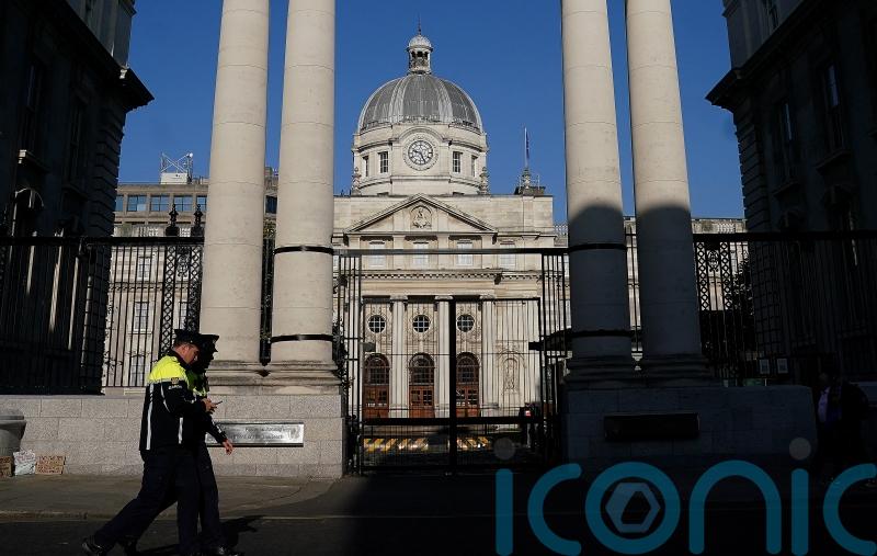 What issues are likely to dominate the Irish general election?