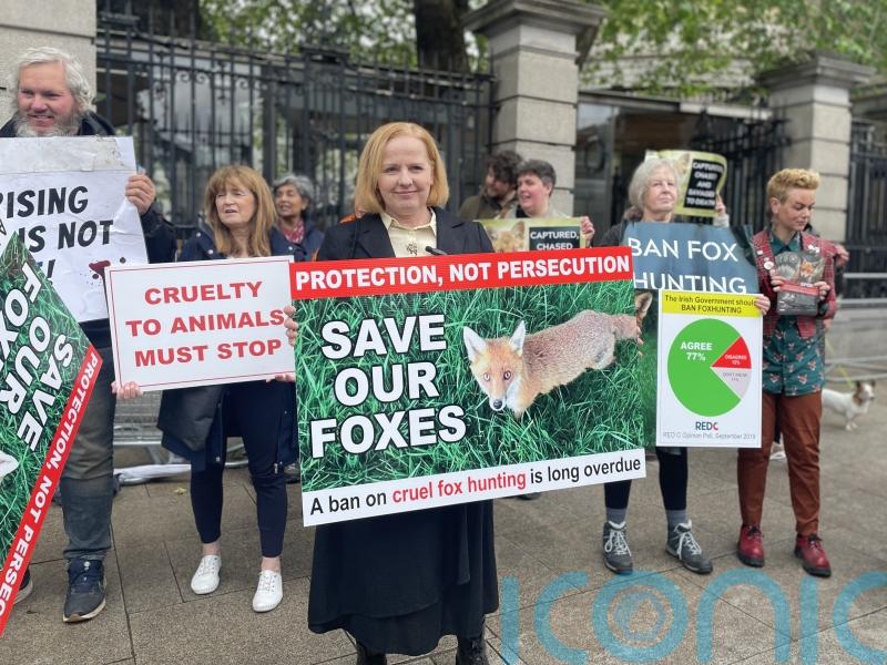 Bill banning &lsquo;cruel&rsquo; fox hunting in Ireland introduced to Dail