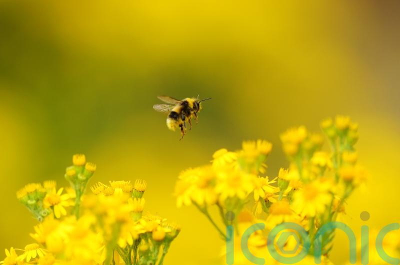 Summer 2025 provisionally recorded as Ireland&rsquo;s hottest since records began