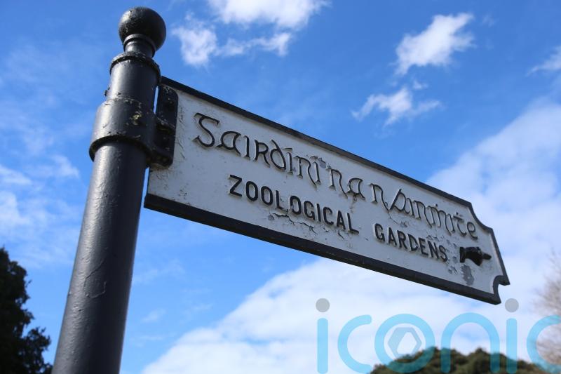 Dublin Zoo &lsquo;vehemently disputes&rsquo; staff harassment and animal welfare claims
