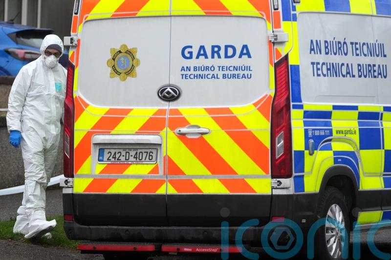 Bodies of boy and man removed from separate Dublin homes
