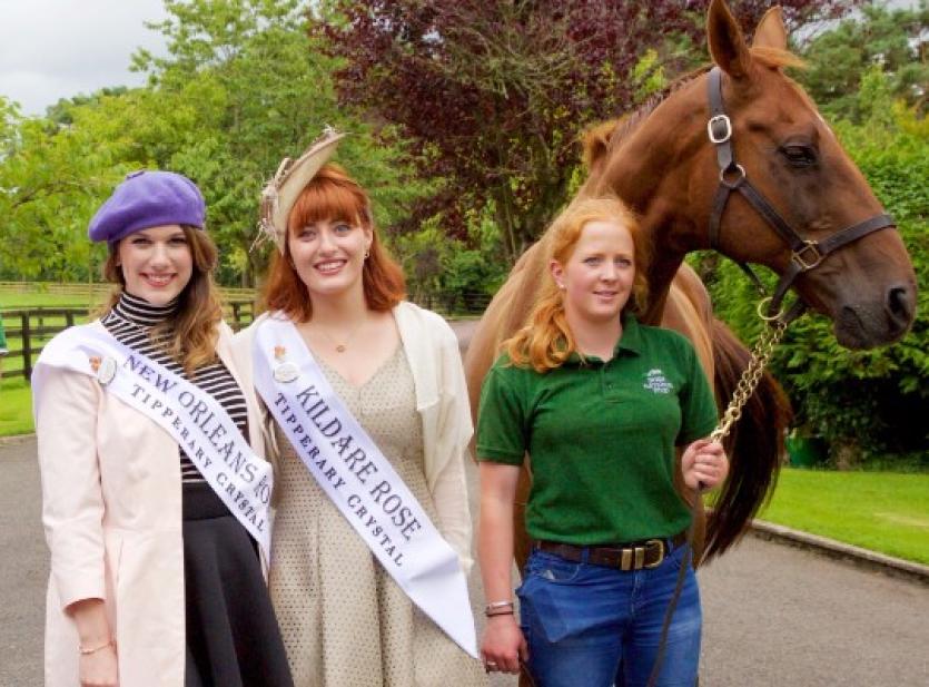 AUDIO: Kildare Rose Meadhbh O'Sullivan gets set for first qualifying selection in Tralee tonight